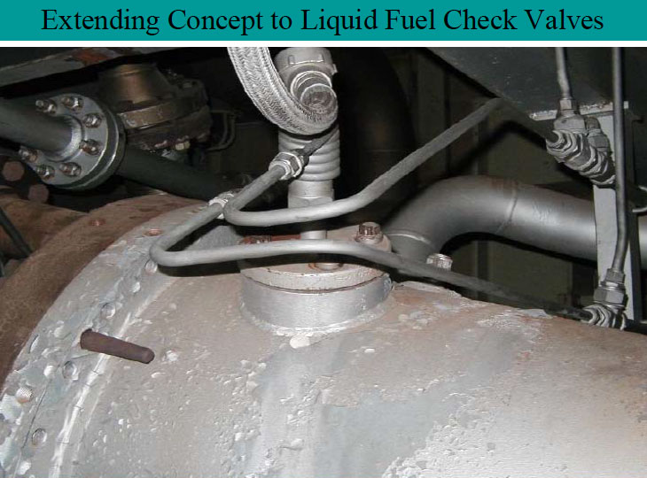 extending concept to liquid fuel check valves